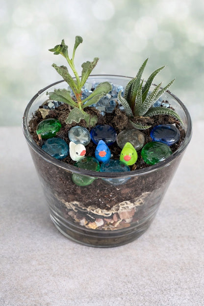 Small Terrarium
