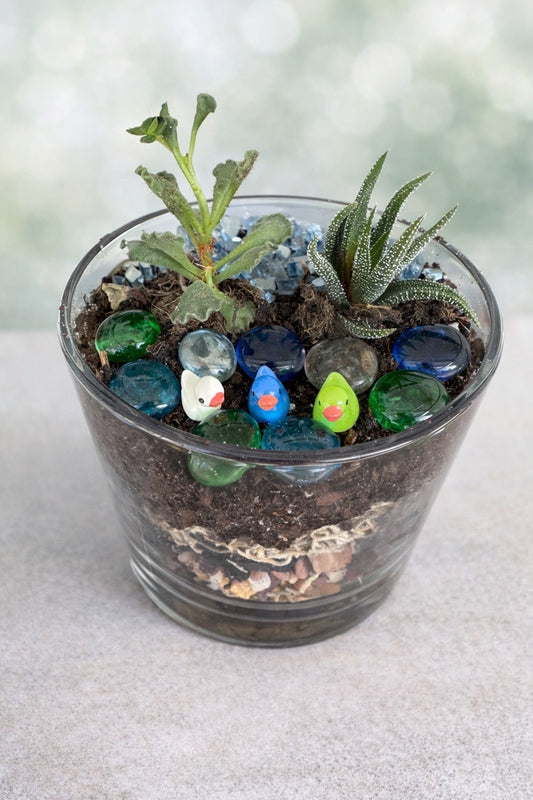 Small Terrarium